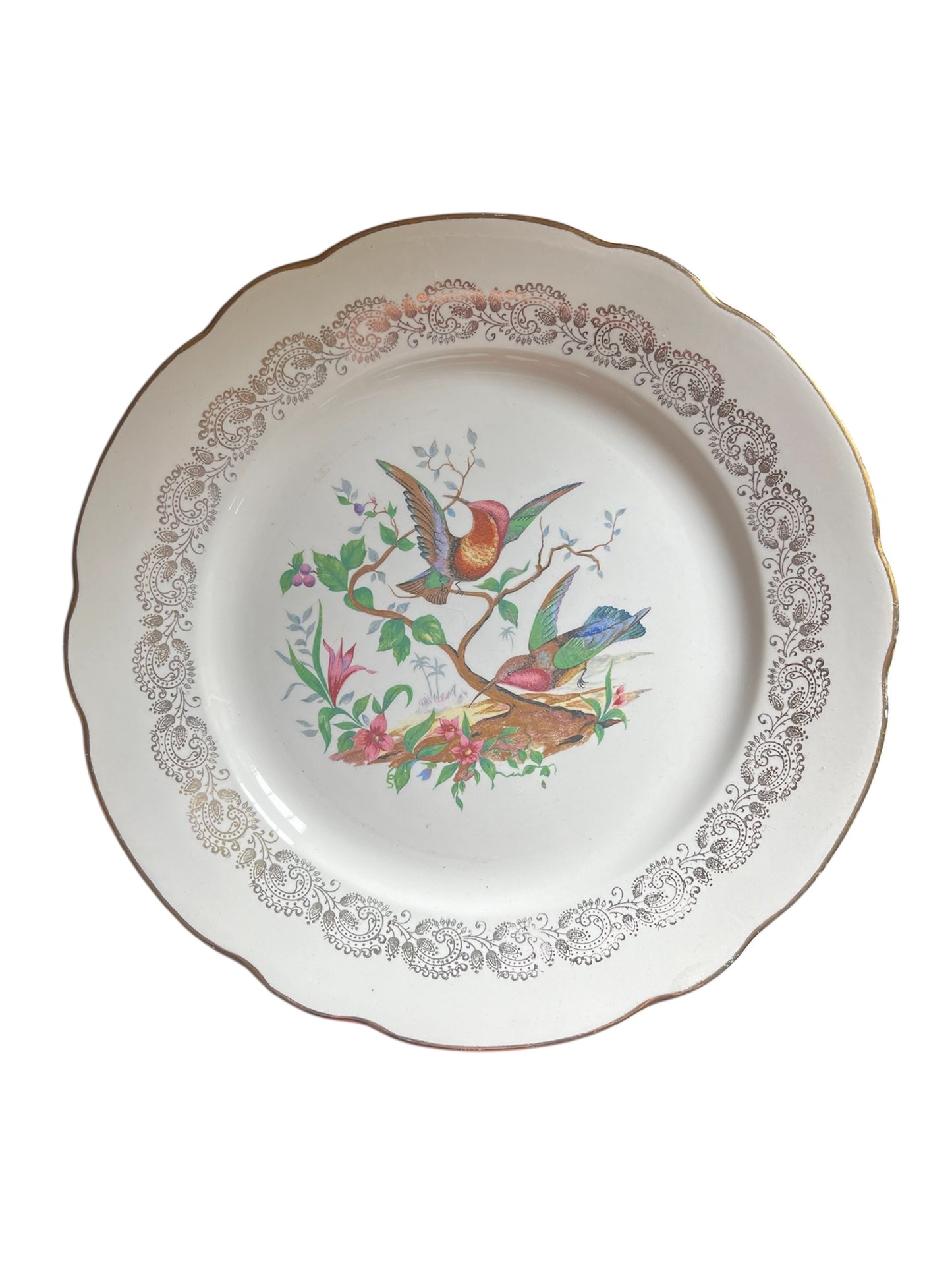 Pack Classique 6 Assiettes "Repas de Famille 6 personnes"
